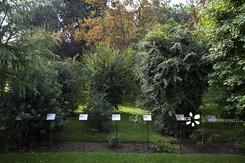 意大利帕多瓦植物园图片素材