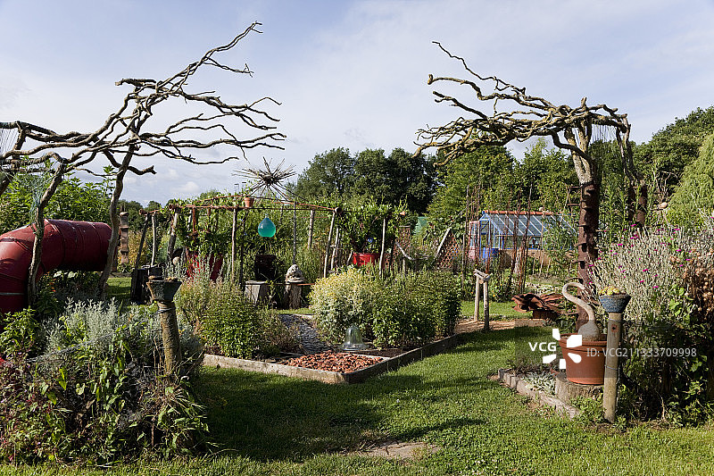 有机厨房花园装饰图片素材