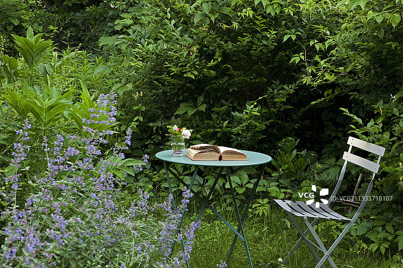 花园里的早餐和 creeping charlie图片素材