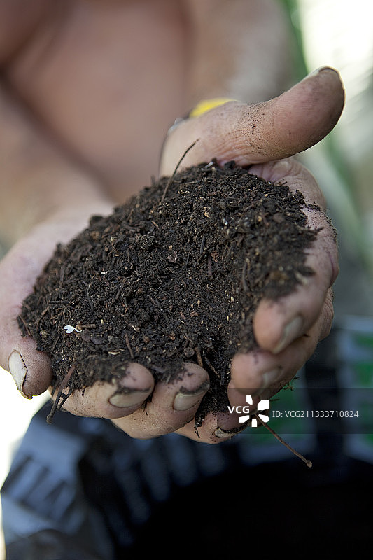 马赛花园里的一把成熟堆肥图片素材