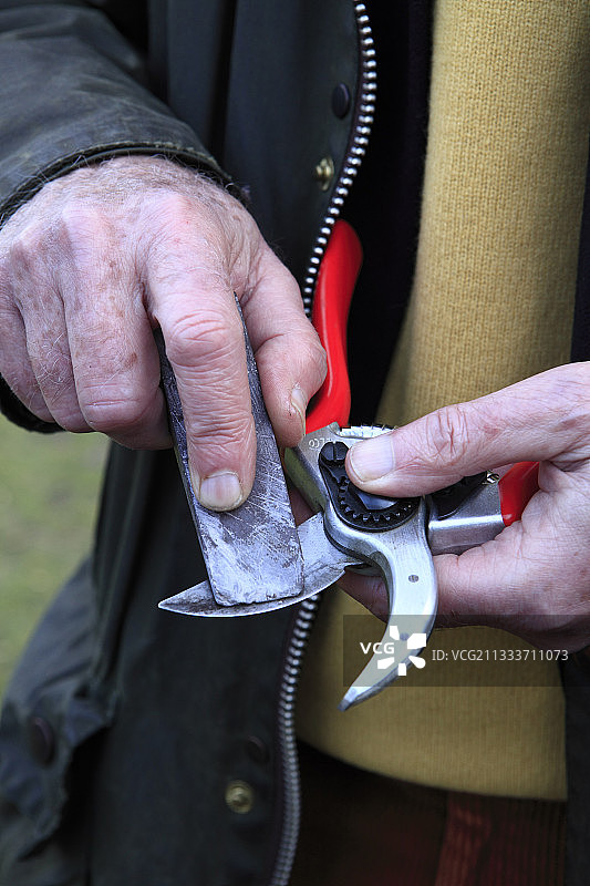 在花园里磨削推剪图片素材