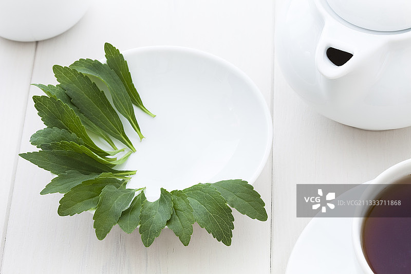 盘中和茶壶中的甜叶菊叶图片素材
