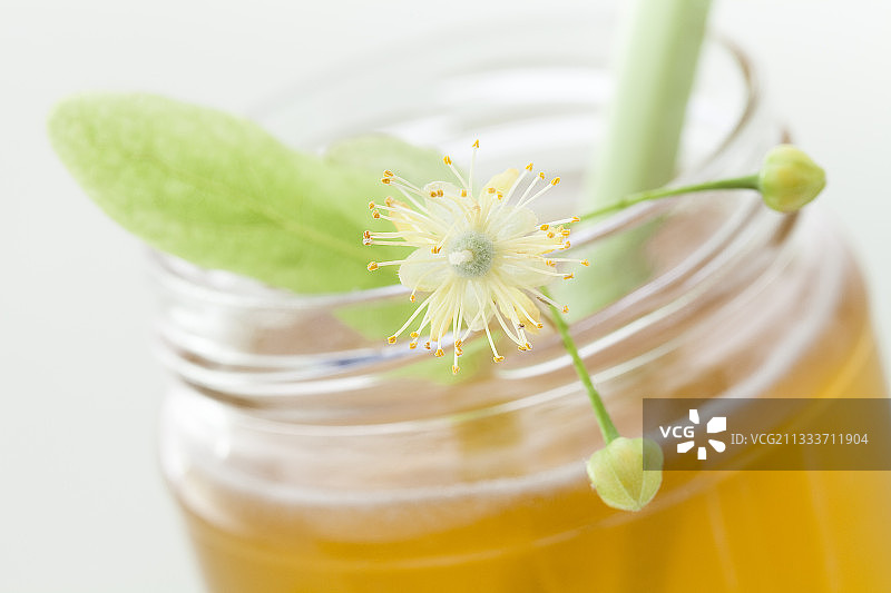 一罐椴树蜂蜜和椴树花图片素材