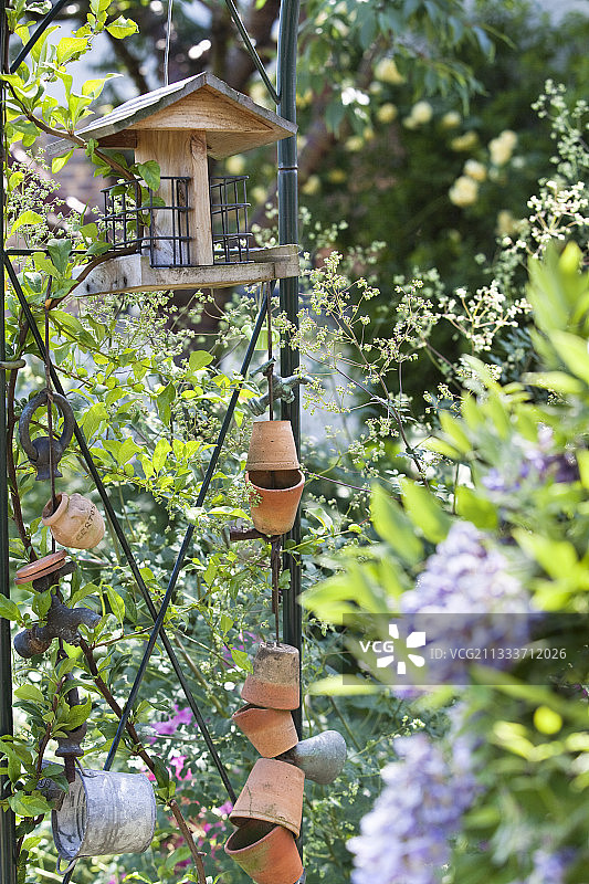 花园中的喂鸟食槽图片素材