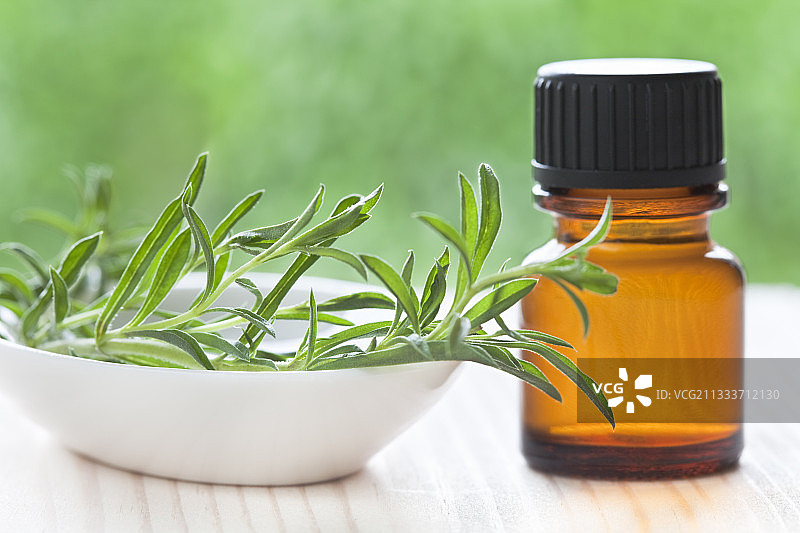 龙蒿精油和叶子图片素材
