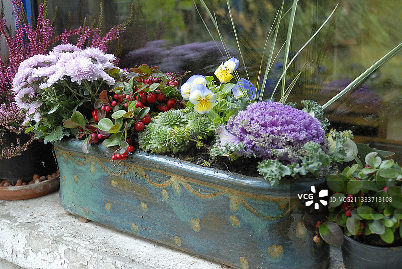 秋季窗台花箱图片素材