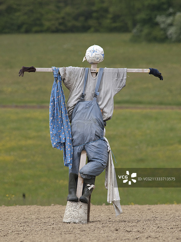 玉米地里的稻草人图片素材