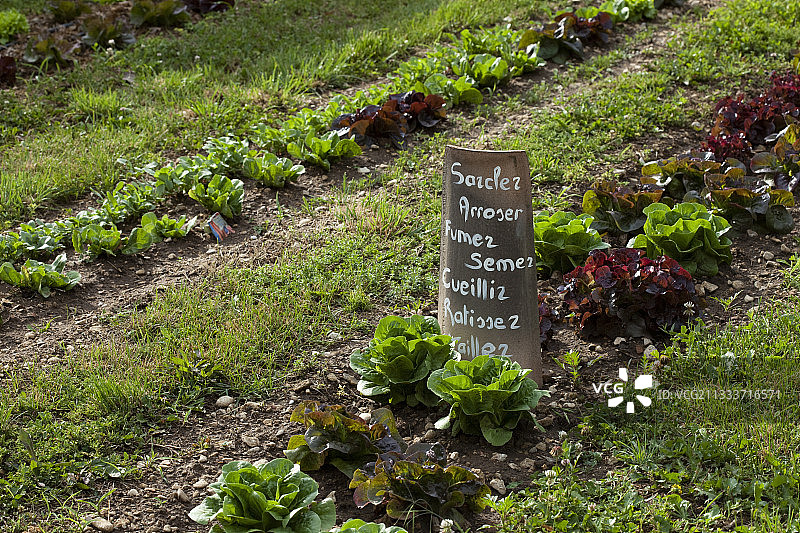 厨房花园中的铭文瓷砖图片素材