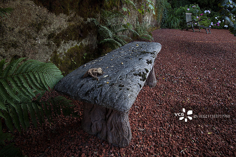 花园里的石头长凳图片素材