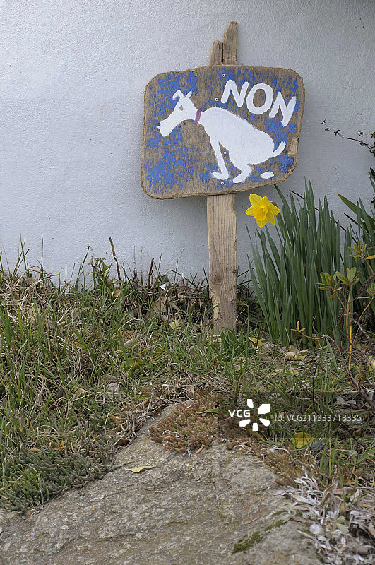 小狗在花丛中便溺图片素材