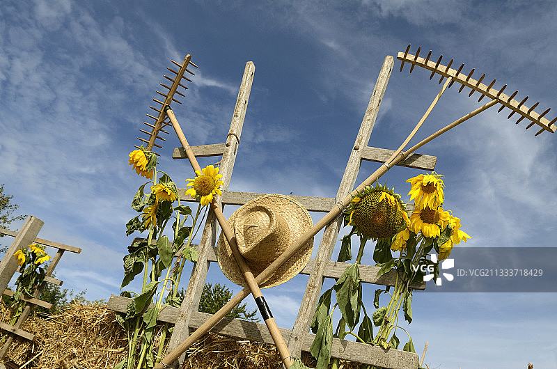 乡村装饰的弗朗索瓦伯爵法国图片素材