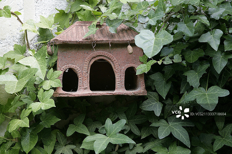 花园墙上的养殖笼图片素材