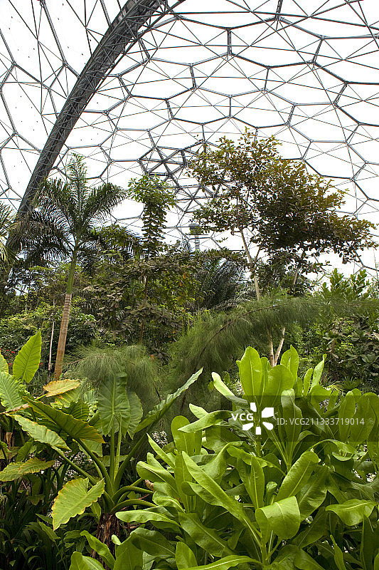 英国康沃尔伊甸园项目温室图片素材