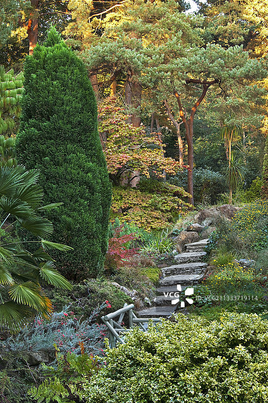英格兰多塞特郡的康普顿英亩花园图片素材