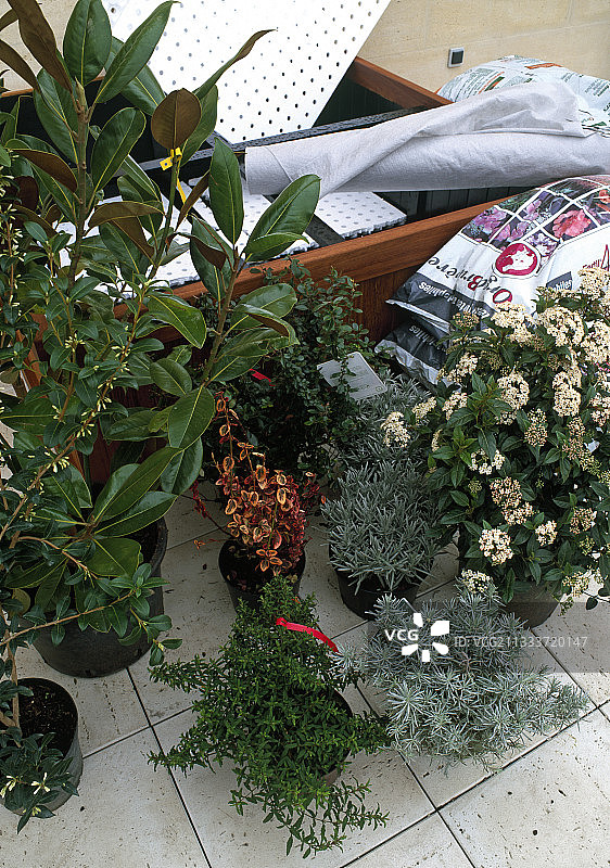 城市公寓露台上的种植园图片素材