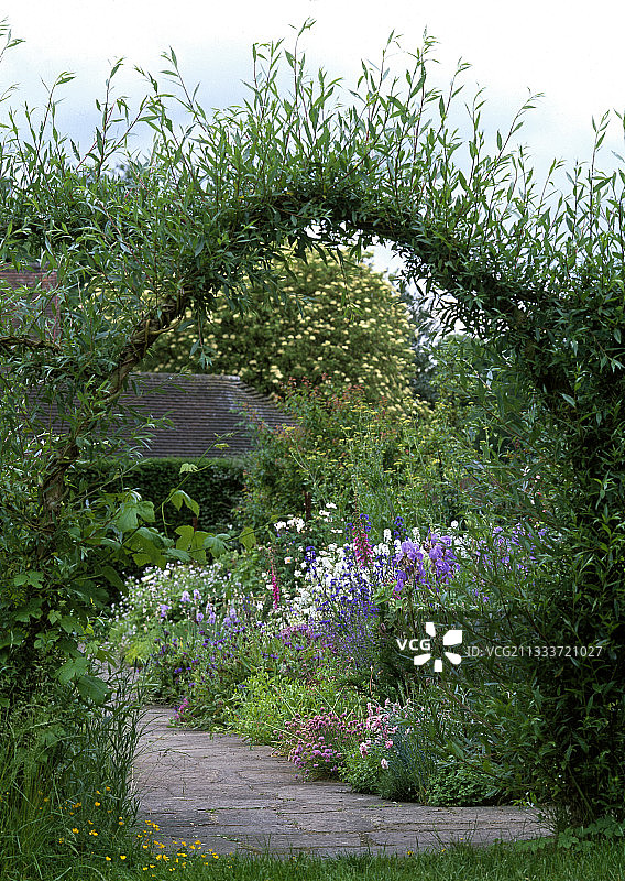 花园里的柳树和葡萄园拱门图片素材