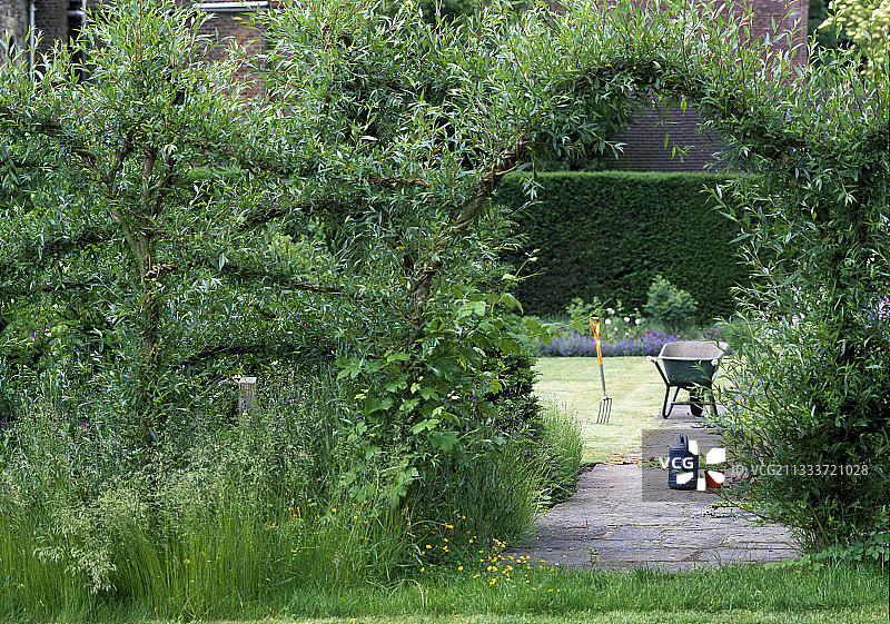 花园里的柳树和葡萄园拱门图片素材