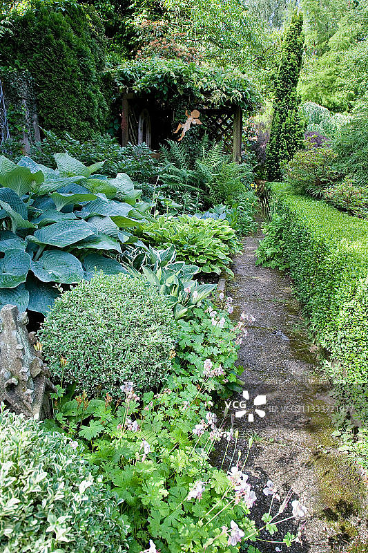 多年生植物边界和花园小径图片素材