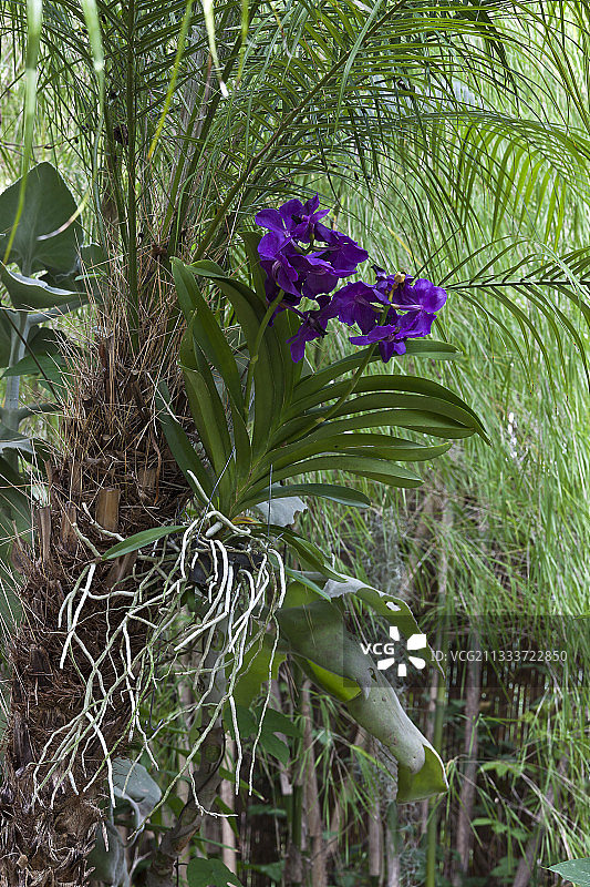 园艺师：Benoit Bourdeau图片素材