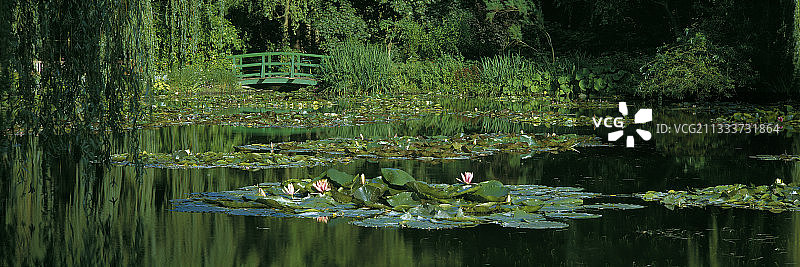 园艺师：克劳德·莫奈 (1840-1926)图片素材