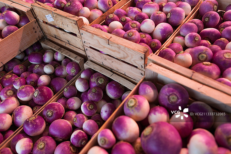 法国科尔巴批发市场上的箱装萝卜图片素材