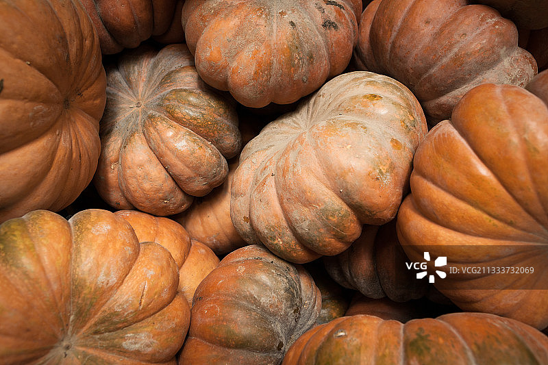 法国科尔巴批发市场的南瓜图片素材