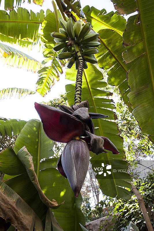 园林景观设计师：Ossart和Maurieres图片素材