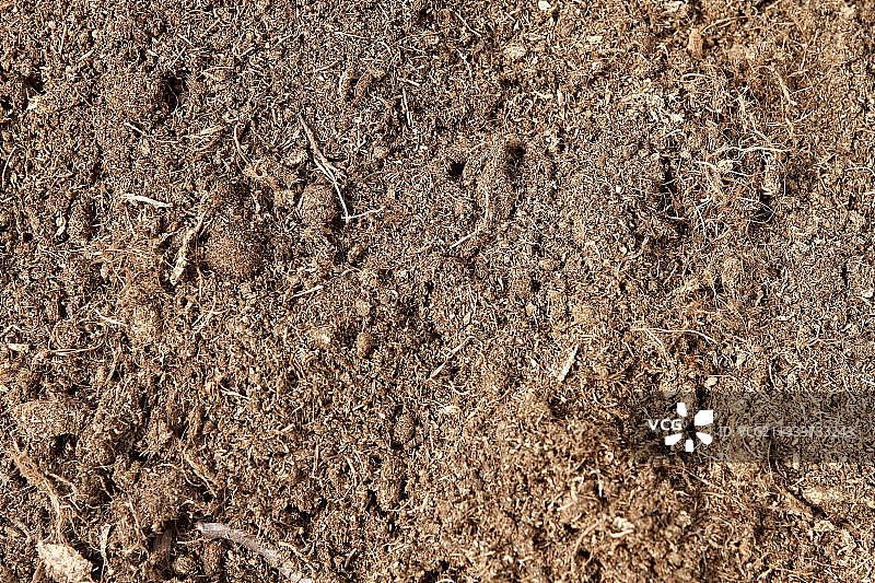 法国波罗的海白色泥炭图片素材