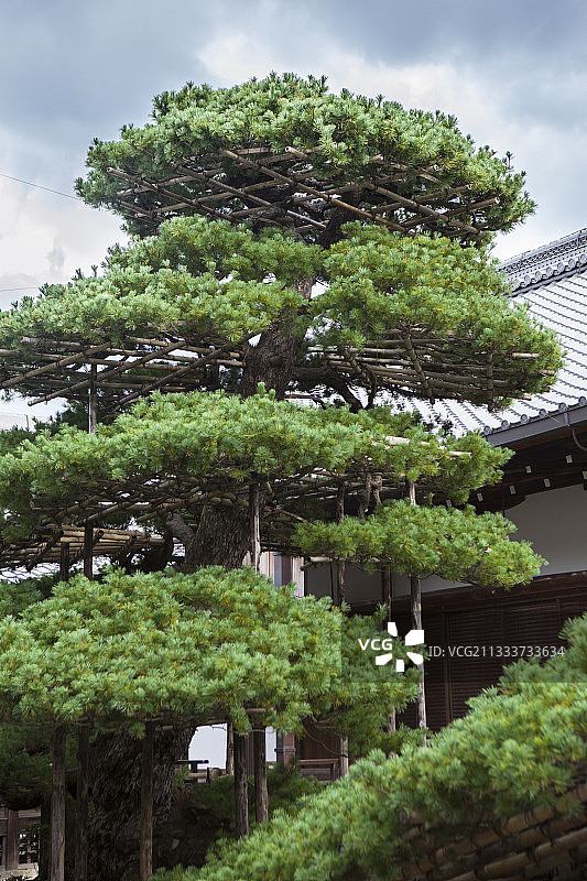 竹制插销与室町时代（15世纪）的庭院图片素材