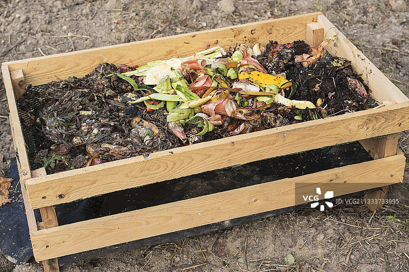 花园里的自制红蚯蚓堆肥箱图片素材