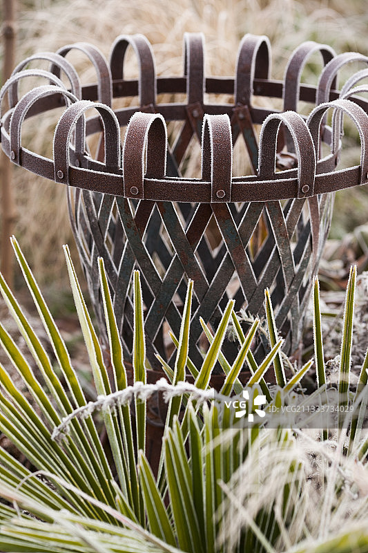 花园里棕榈树和铁花瓶上的白霜图片素材