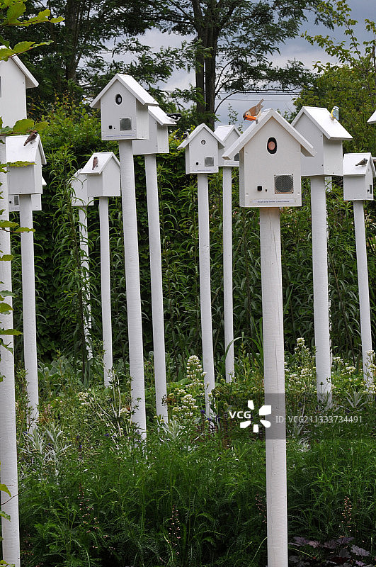2010年肖蒙花园节：繁殖笼图片素材