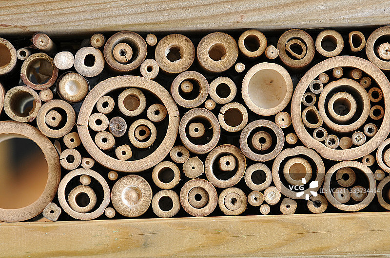 花园里的“昆虫旅馆”图片素材