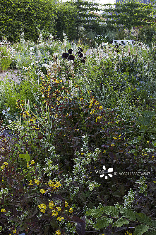 感官花园图片素材
