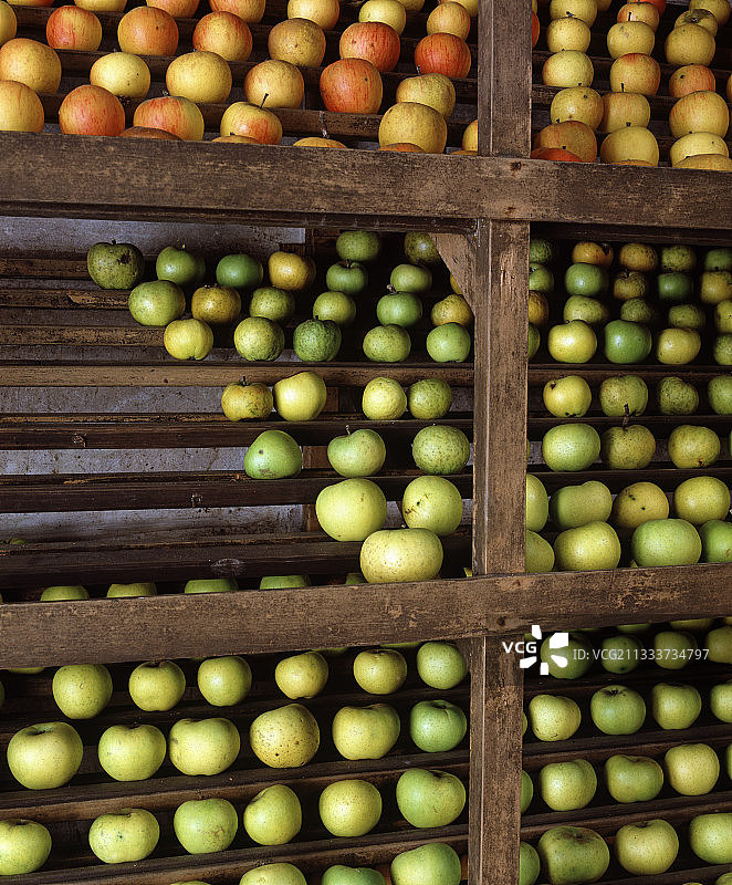 堆满苹果的水果房间图片素材