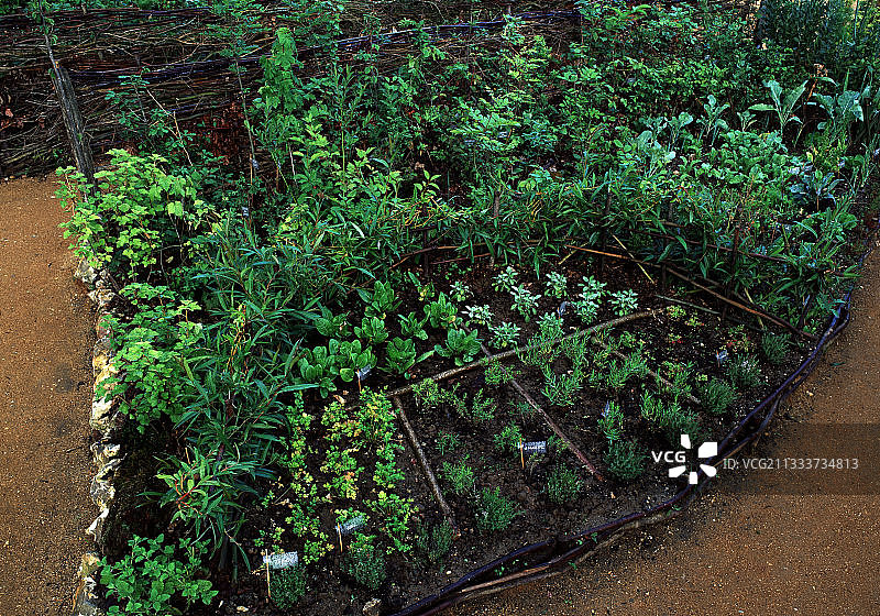 园林景观设计：D.Mansion图片素材