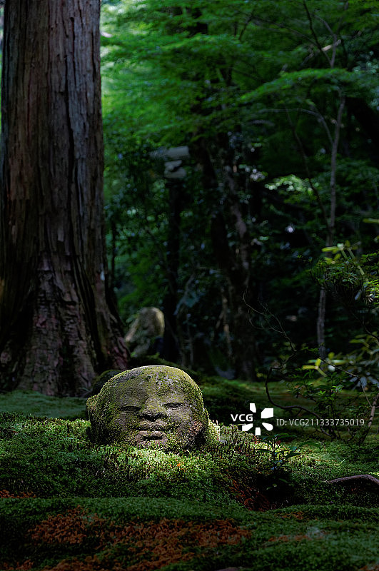 夏季的日本三千院庭园图片素材