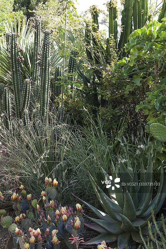 园林设计师：Ossart和Maurieres图片素材