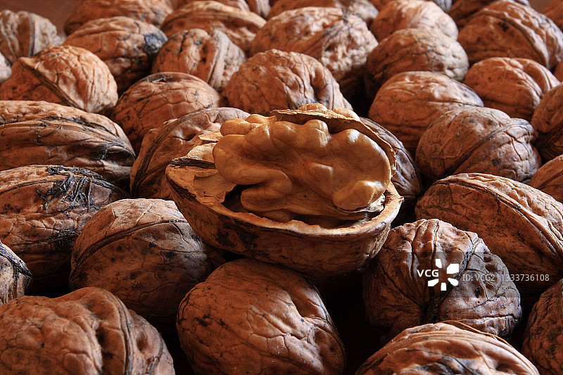 法国阿尔萨斯的普通核桃图片素材