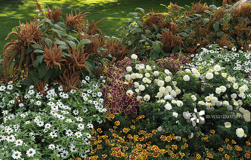 蒙特利尔植物园图片素材