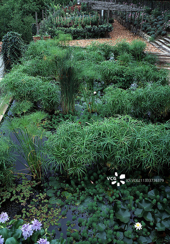 园林设计师：Ossart-Maurires图片素材