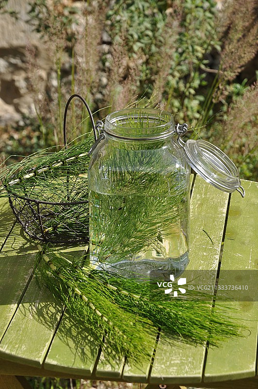 问荆浸渍液用于花园植物卫生处理图片素材