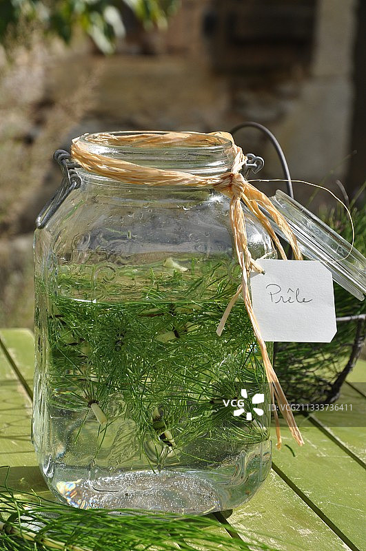 问荆浸渍液用于花园植物卫生处理图片素材