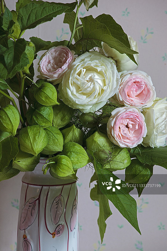 “皮埃尔·德·龙萨”玫瑰与锦灯笼花束图片素材