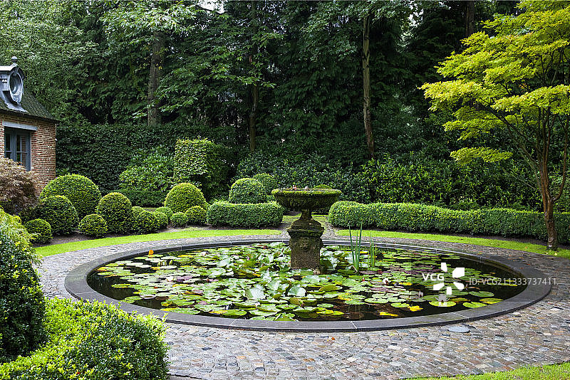 比利时安特卫普花园里的黄杨树图片素材