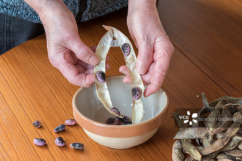 剥蔓豆图片素材