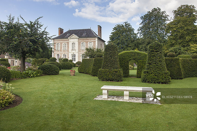 花园里的柏木和紫杉植物造型图片素材