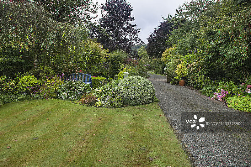 花园小路旁的灌木和多年生植物图片素材