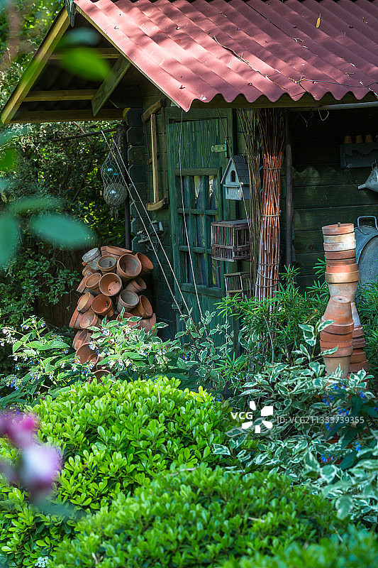城市花园里的矮蒲桃和棚屋图片素材