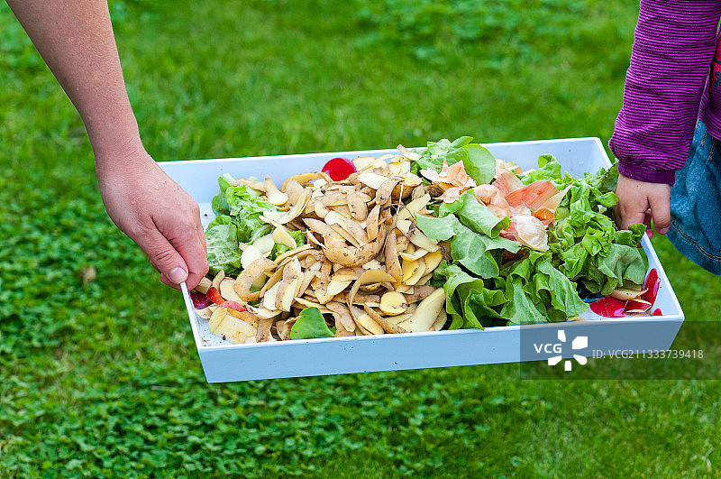 用于花园堆肥的厨房废料图片素材